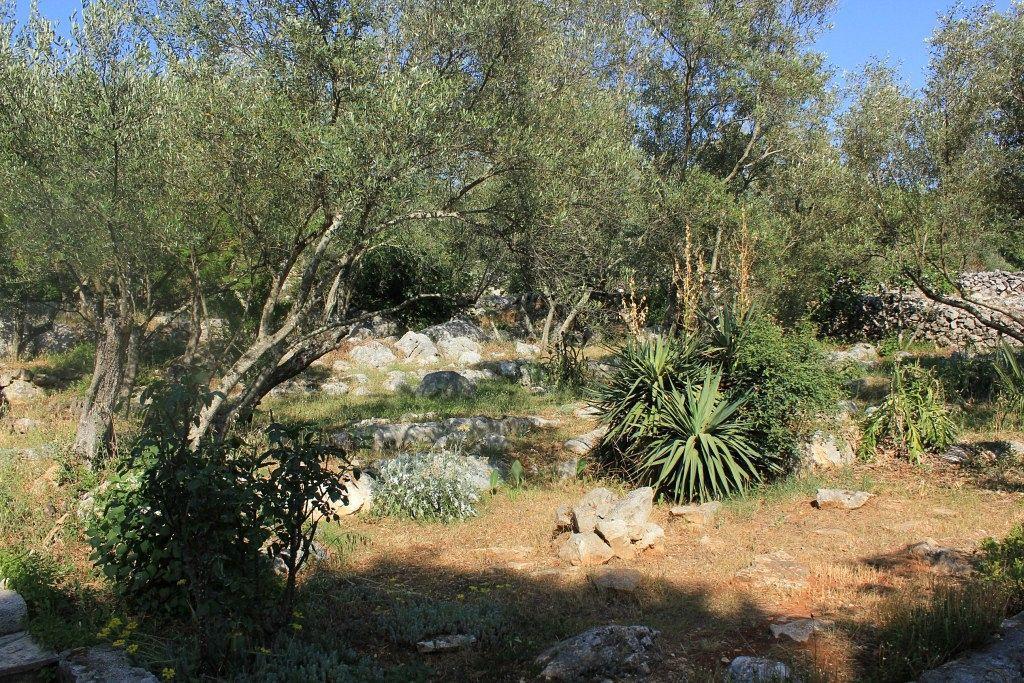 Secluded Fisherman'S Cottage Cove Magrovica - Telascica, Dugi Otok - 8142 سالي المظهر الخارجي الصورة